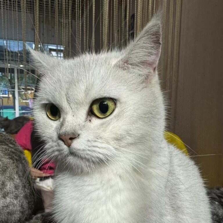 Moke323 头像